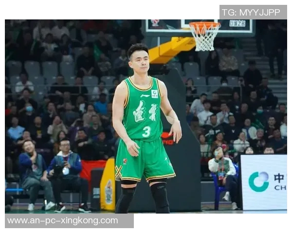 赵继伟:从青涩新星到篮球场上的领军人物的成长之路与辉煌成就